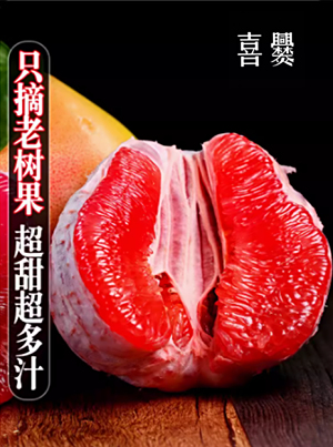 喜爨柚子